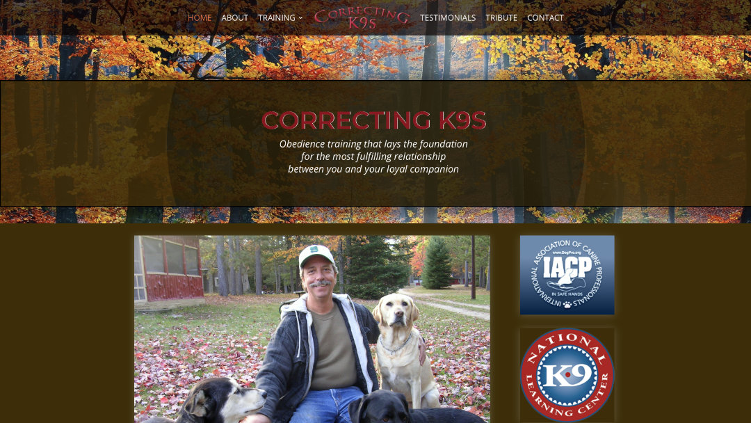 Home Page of the Correcting K9s website project