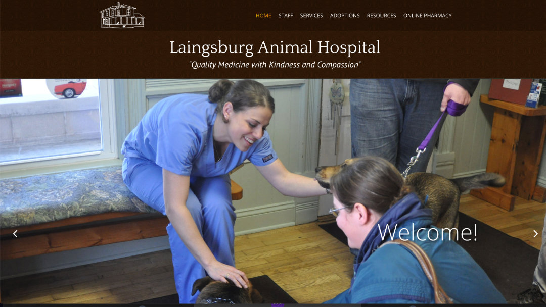 Home Page of the Laingsburg Animal Hospital website project